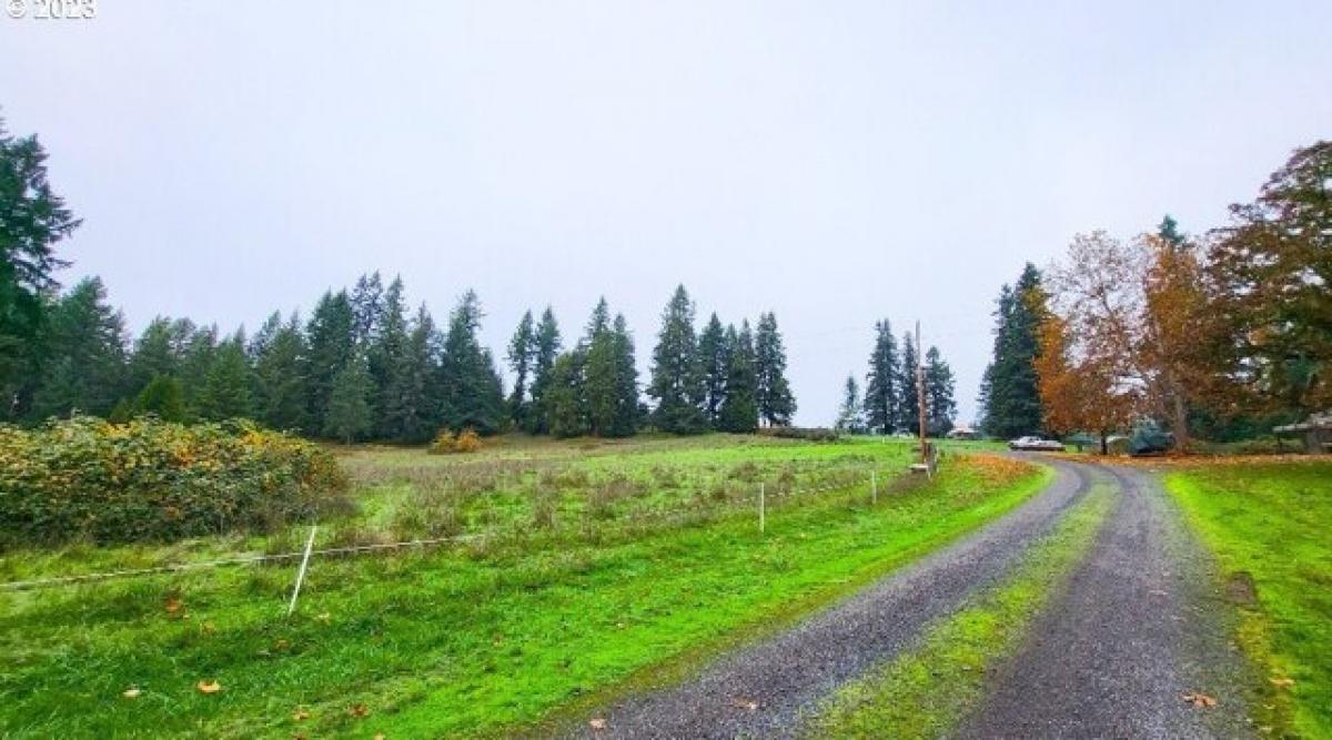 Picture of Residential Land For Sale in Cottage Grove, Oregon, United States