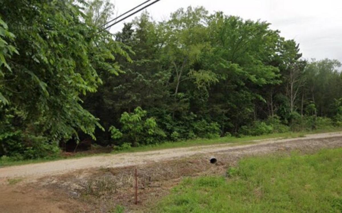 Picture of Residential Land For Sale in Gordonville, Texas, United States