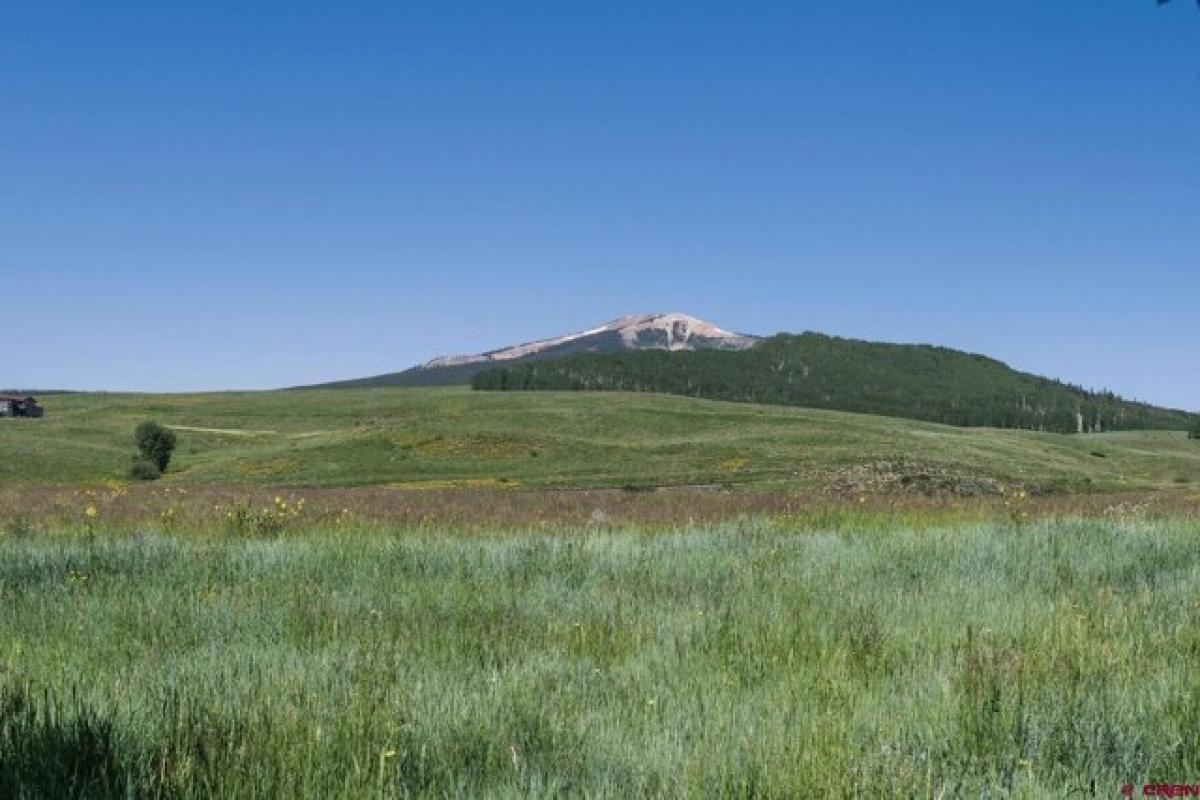 Picture of Home For Sale in Crested Butte, Colorado, United States