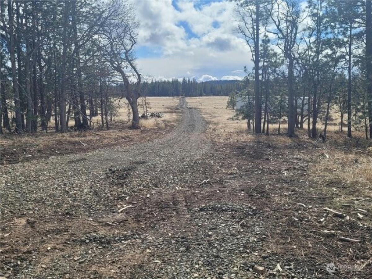 Picture of Residential Land For Sale in Goldendale, Washington, United States