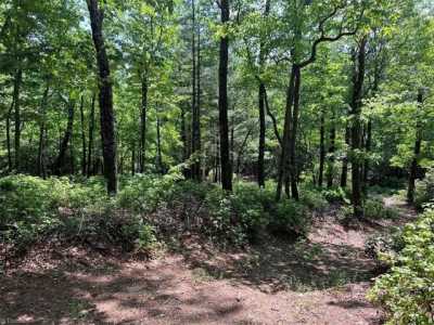 Residential Land For Sale in Purlear, North Carolina