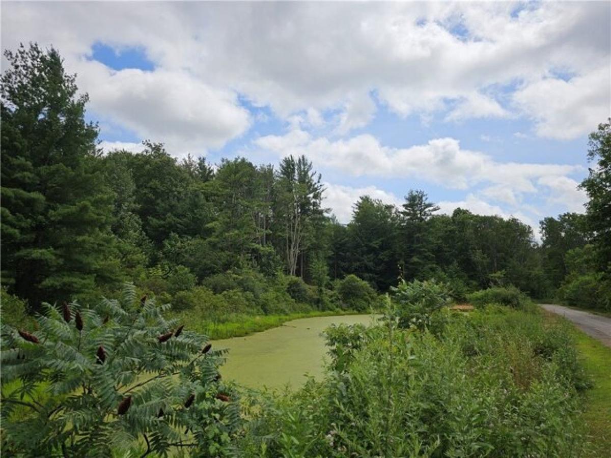 Picture of Residential Land For Sale in Angelica, New York, United States