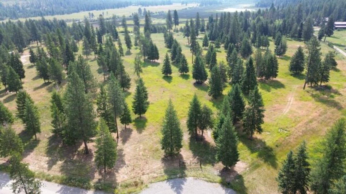 Picture of Residential Land For Sale in Athol, Idaho, United States