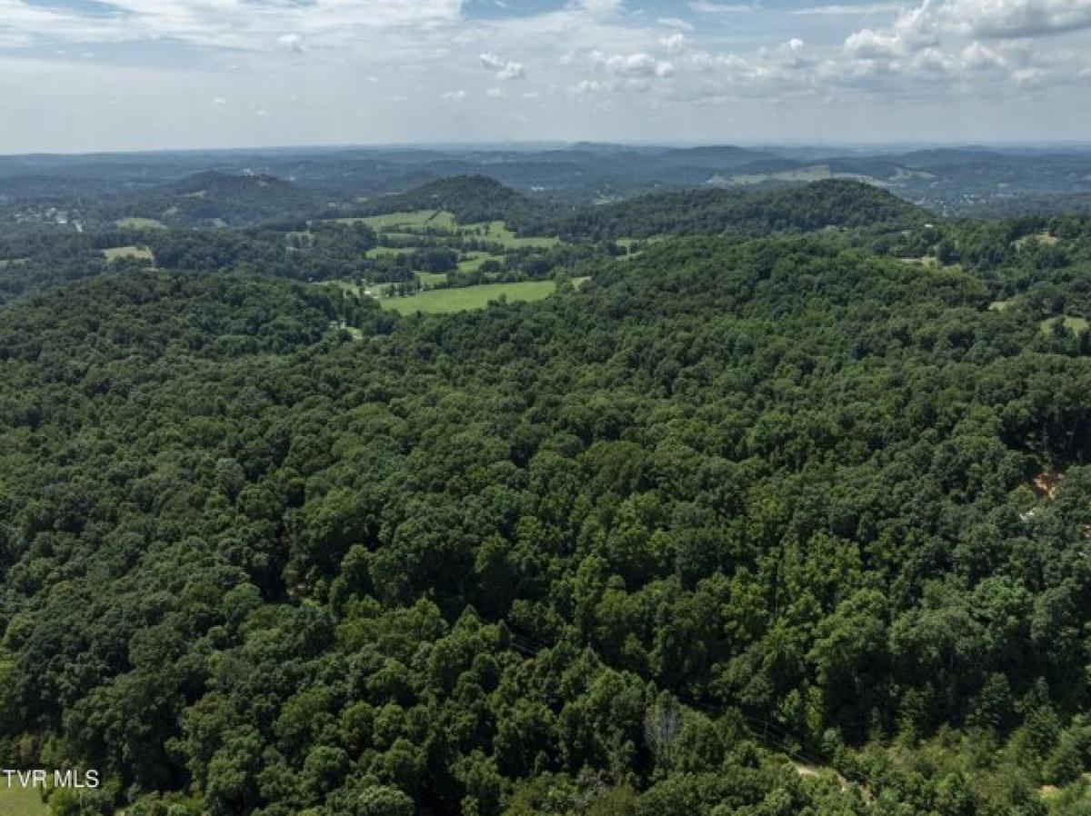 Picture of Residential Land For Sale in Elizabethton, Tennessee, United States