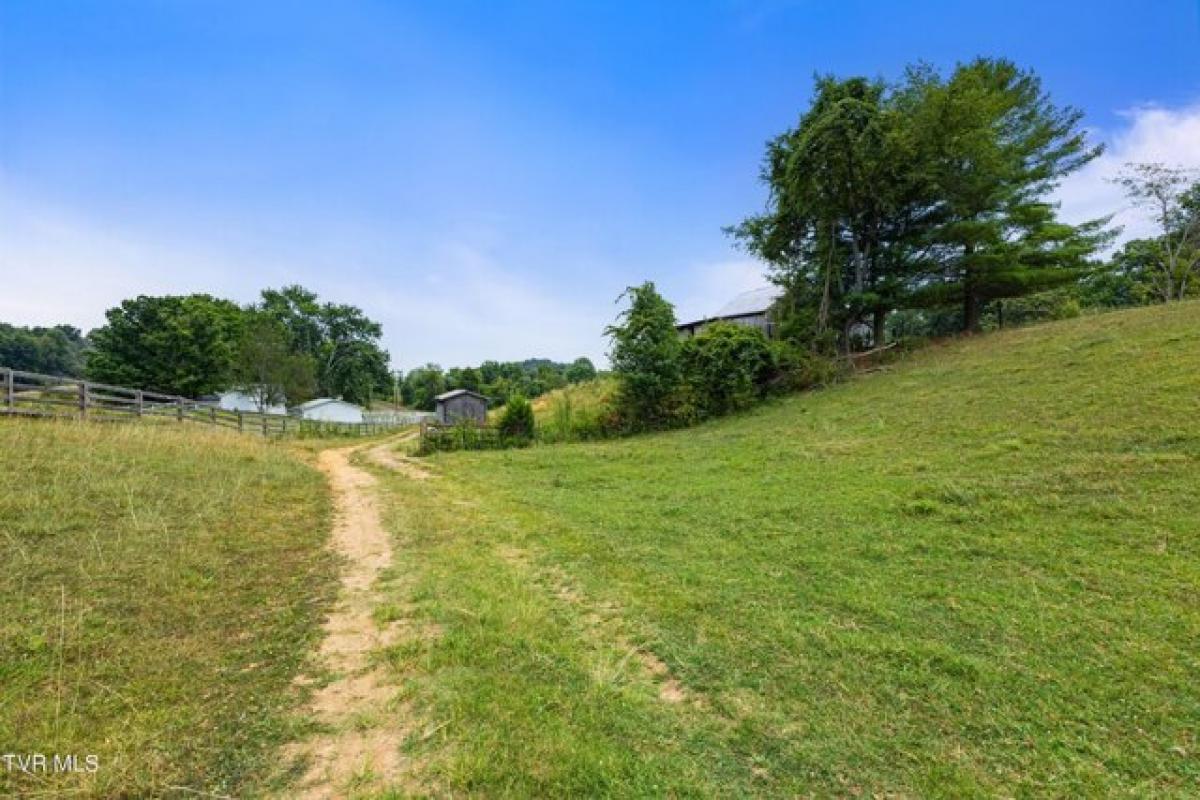 Picture of Residential Land For Sale in Jonesborough, Tennessee, United States