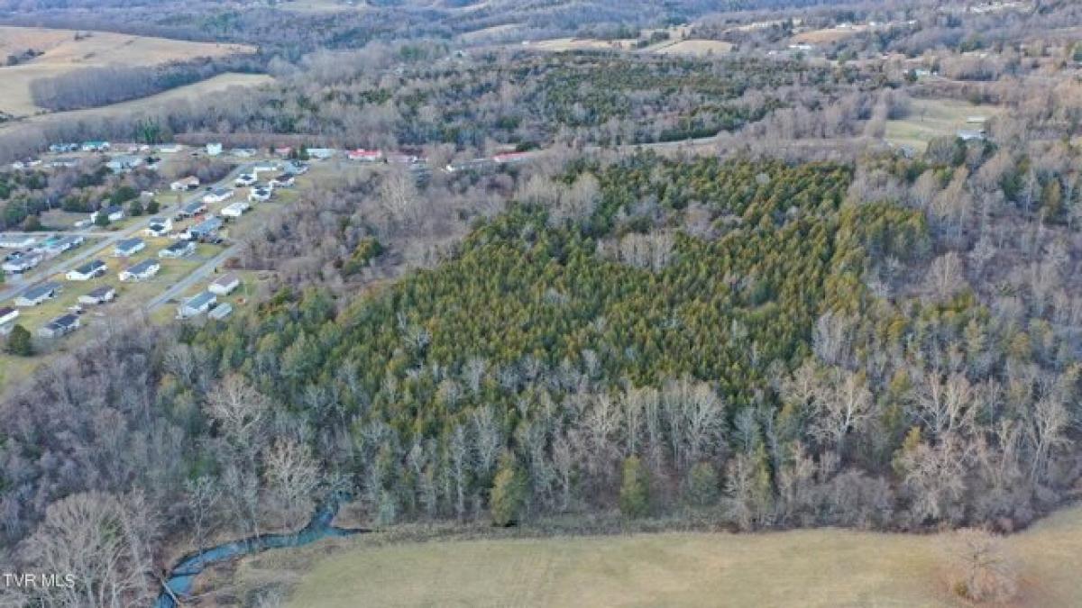 Picture of Residential Land For Sale in Dryden, Virginia, United States