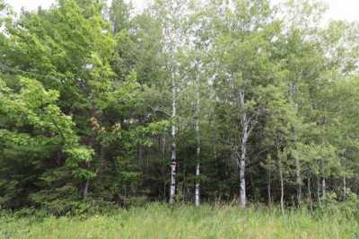 Residential Land For Sale in Herbster, Wisconsin