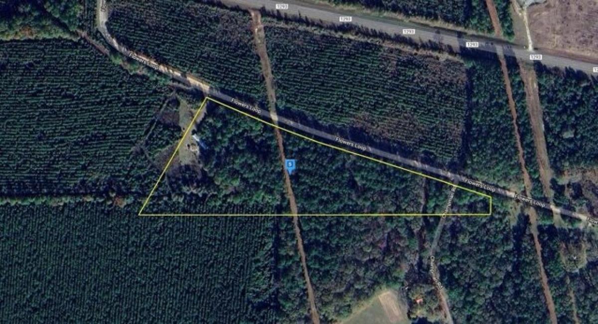 Picture of Residential Land For Sale in Kountze, Texas, United States