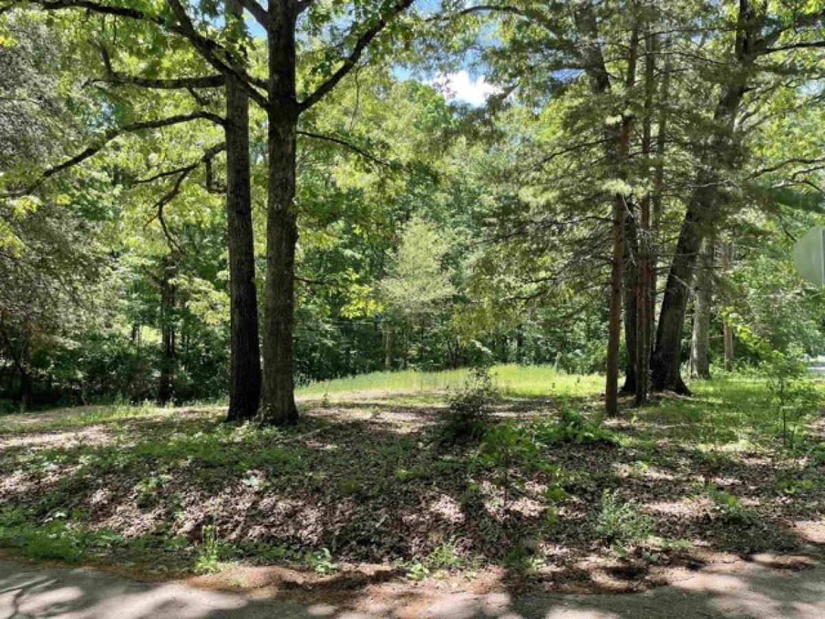 Picture of Residential Land For Sale in Florence, Alabama, United States