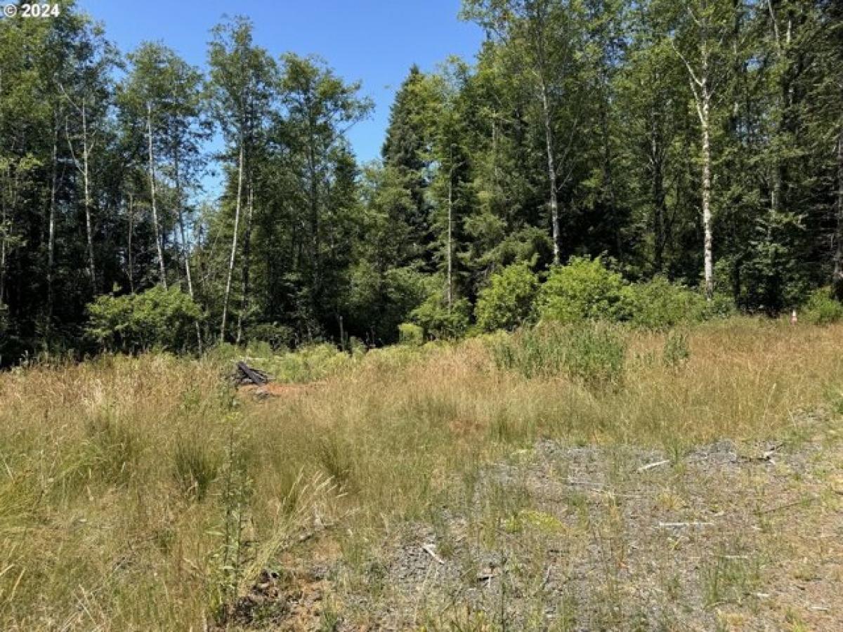 Picture of Residential Land For Sale in North Bend, Oregon, United States