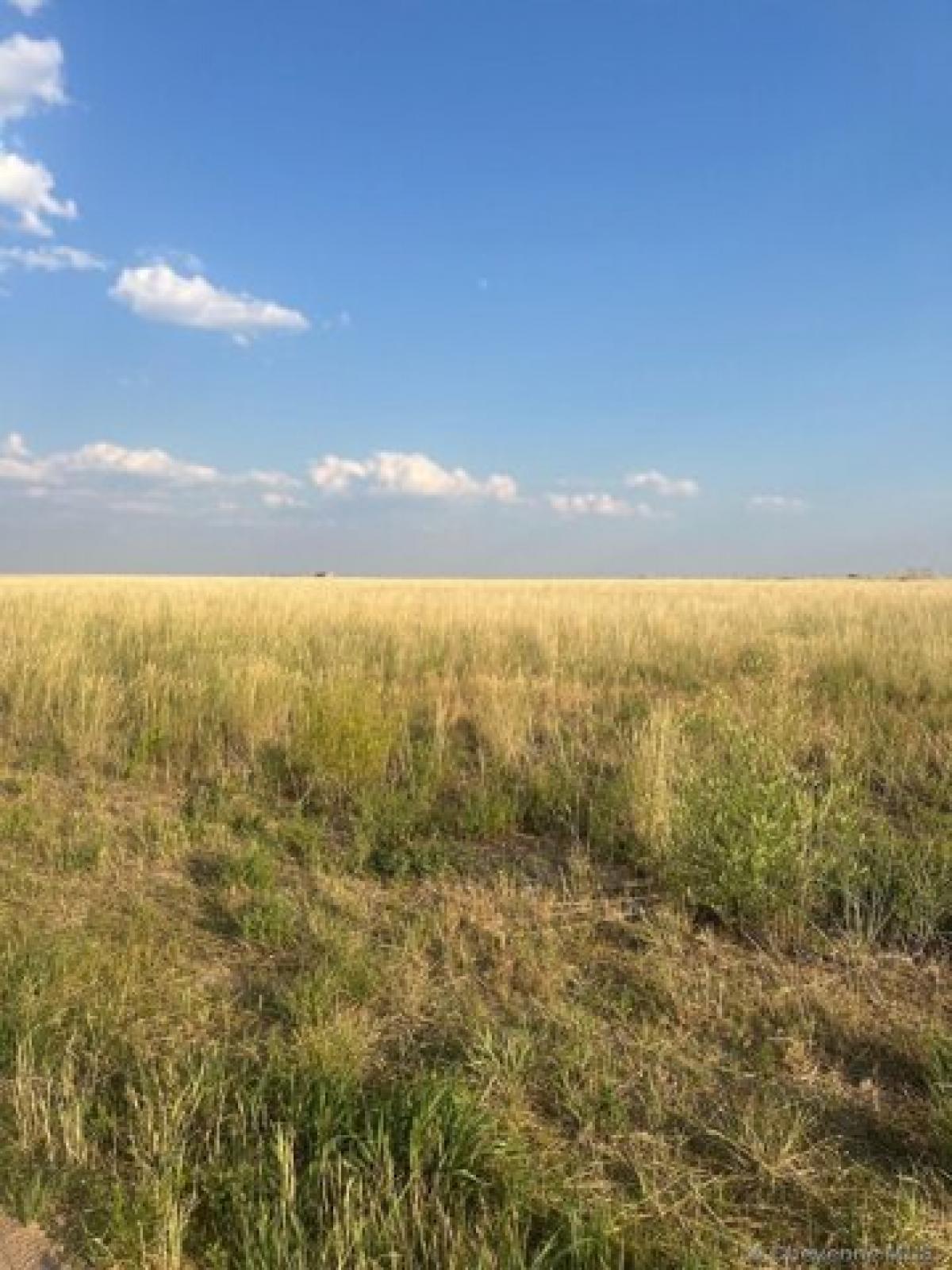 Picture of Residential Land For Sale in Carpenter, Wyoming, United States