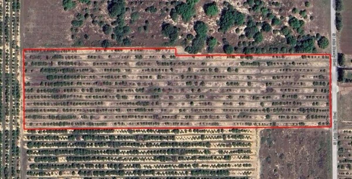 Picture of Residential Land For Sale in Frostproof, Florida, United States