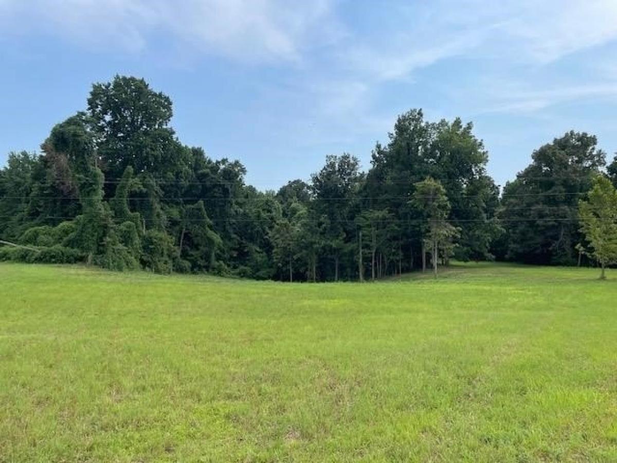 Picture of Residential Land For Sale in Drummonds, Tennessee, United States