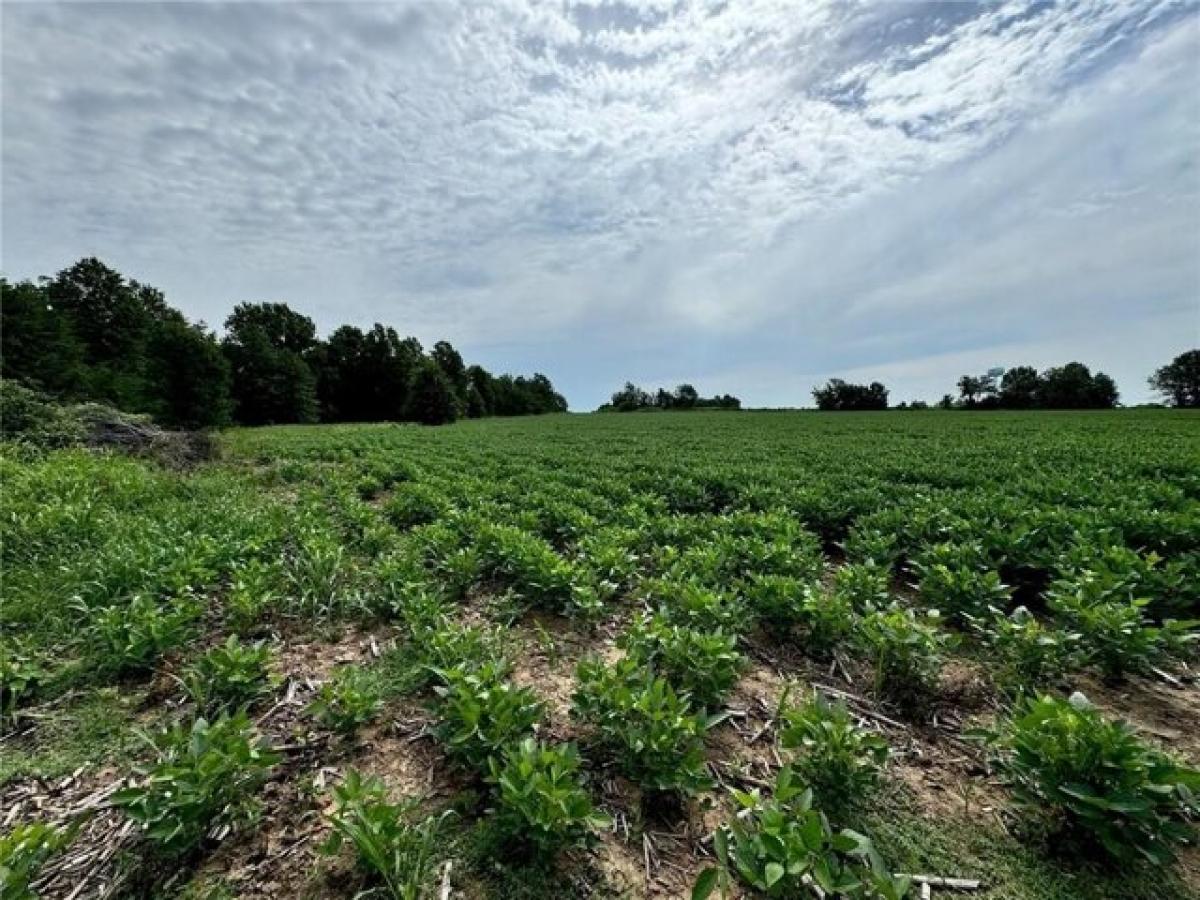 Picture of Residential Land For Sale in Moundville, Missouri, United States