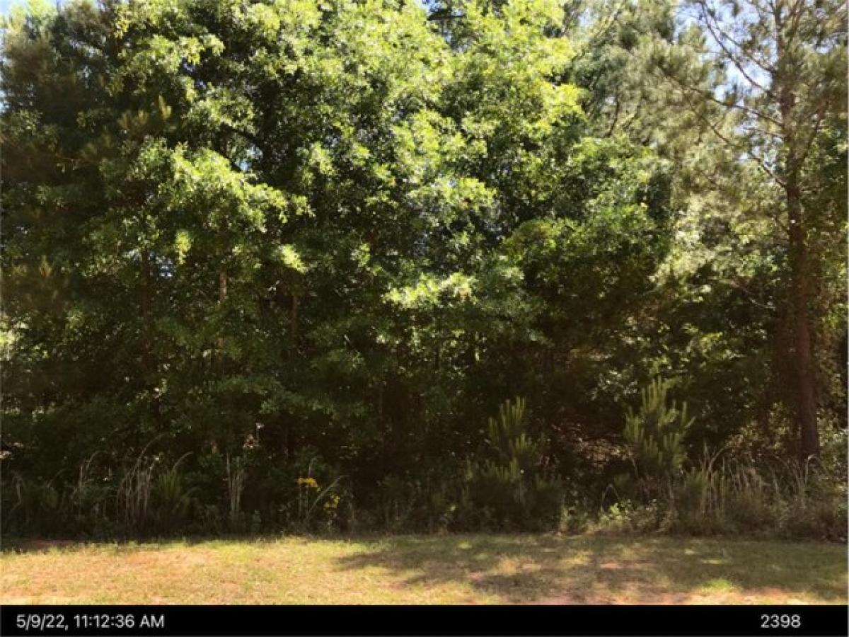 Picture of Residential Land For Sale in Ellaville, Georgia, United States