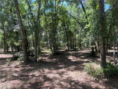 Residential Land For Sale in Darien, Georgia