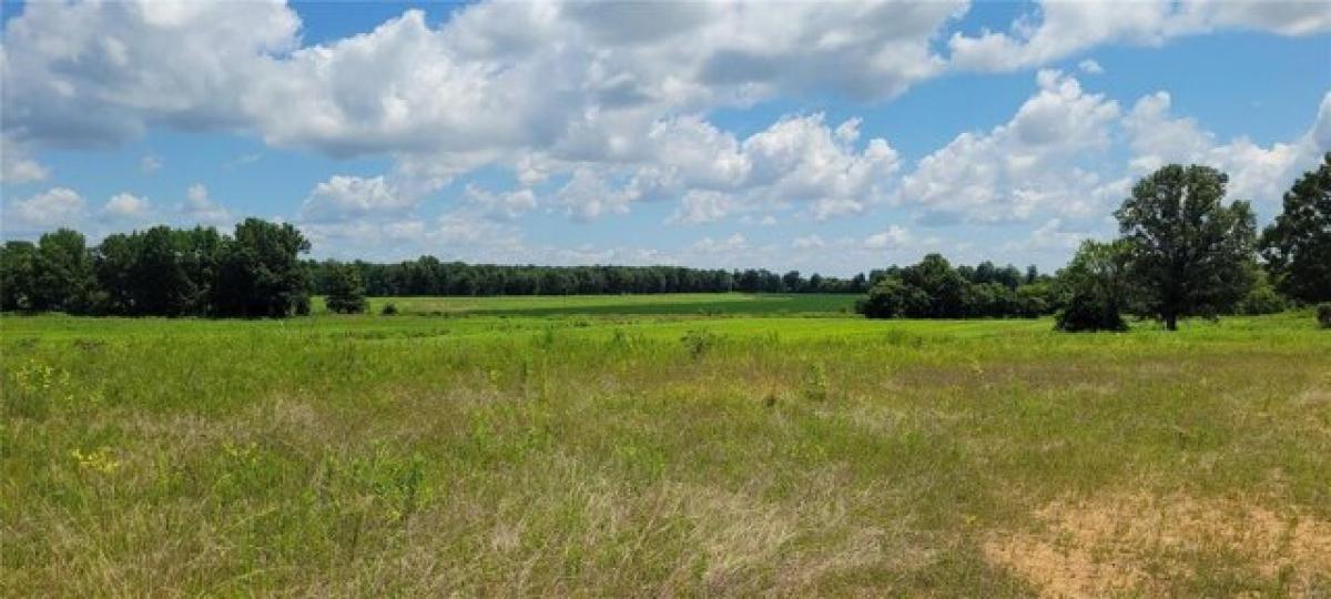 Picture of Residential Land For Sale in Poplar Bluff, Missouri, United States