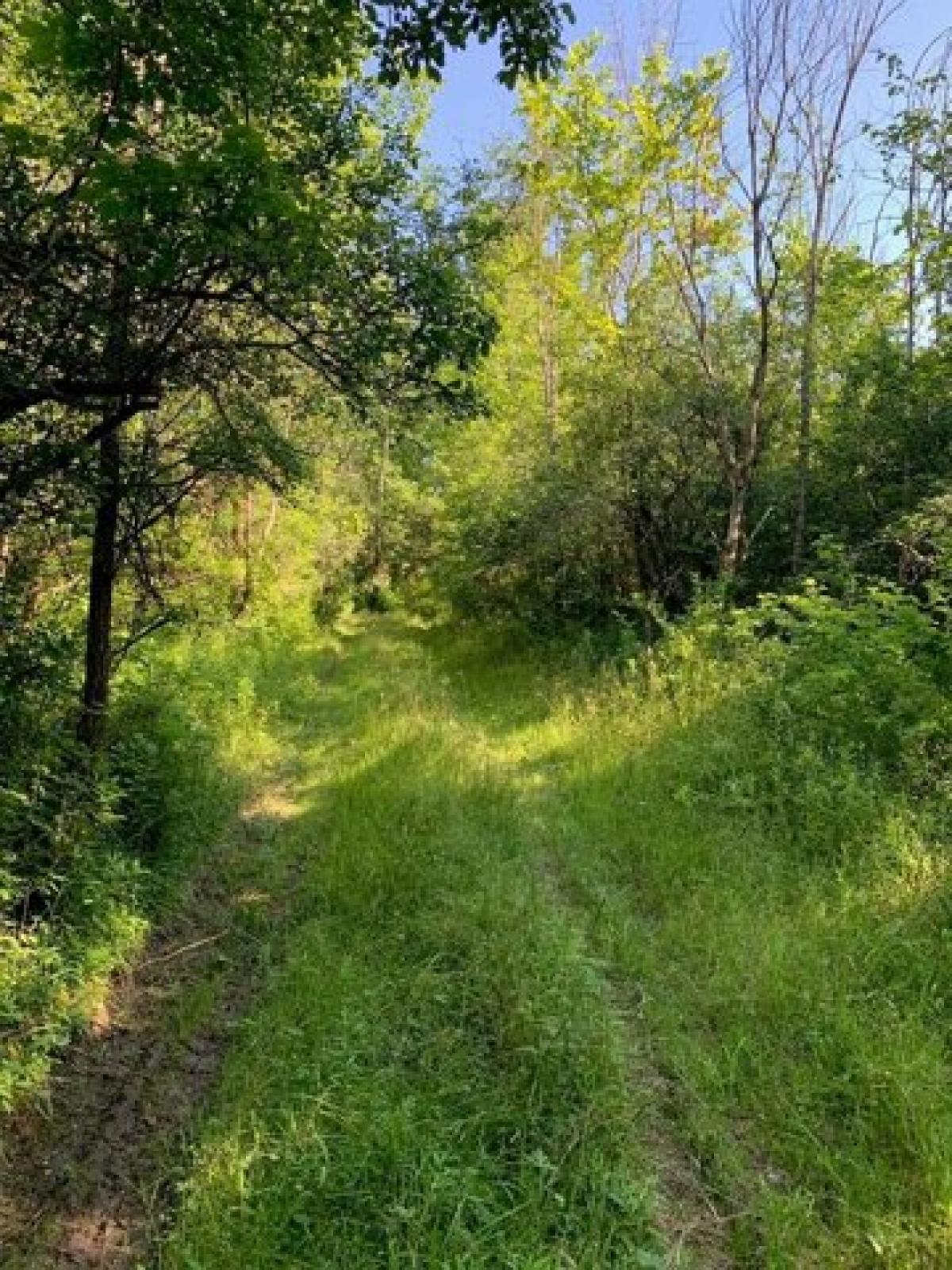 Picture of Residential Land For Sale in Watkins Glen, New York, United States