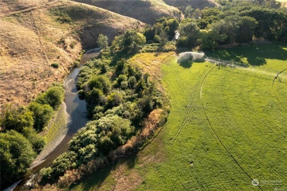 Picture of Residential Land For Sale in Dayton, Washington, United States