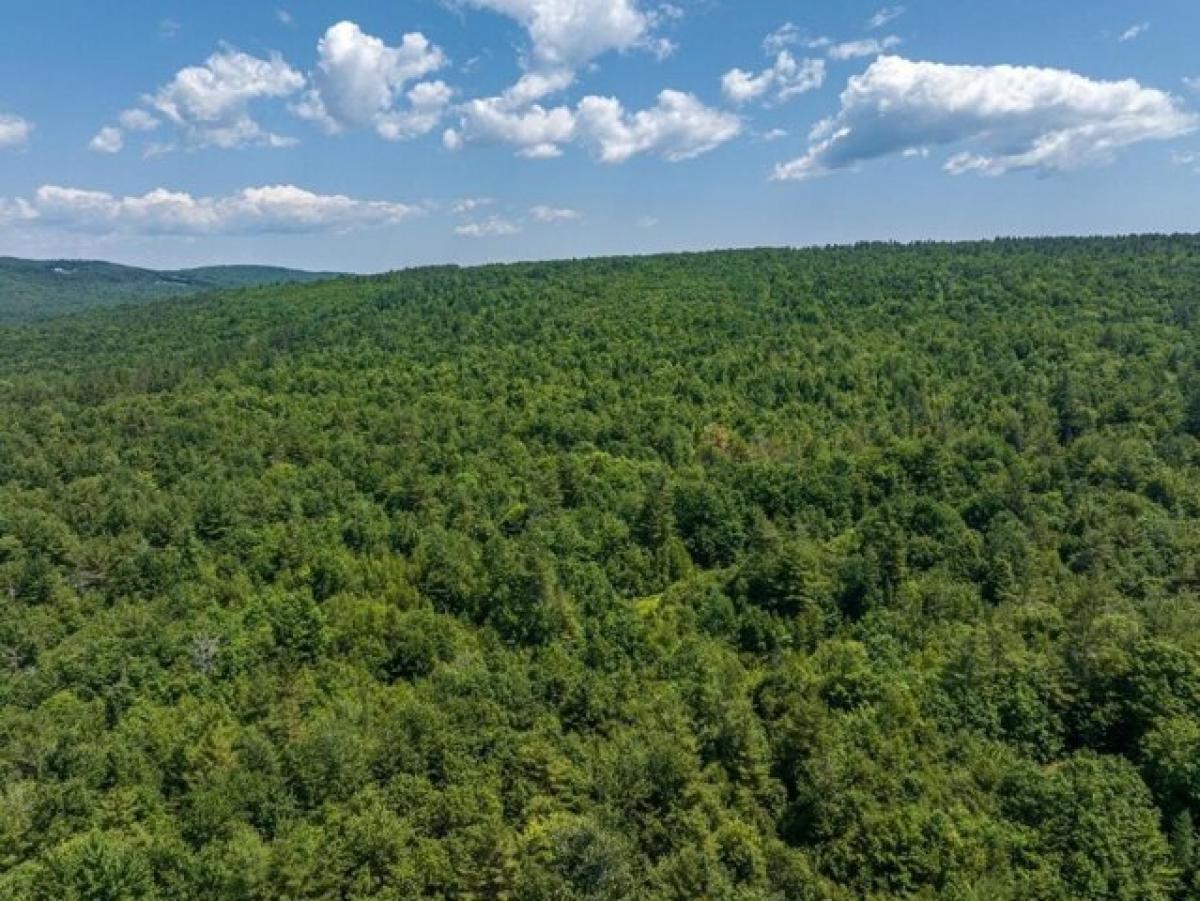 Picture of Residential Land For Sale in Mechanic Falls, Maine, United States