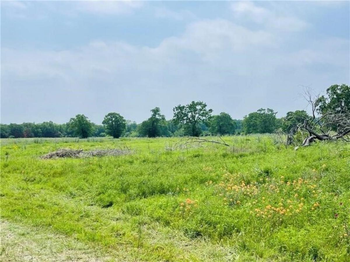 Picture of Residential Land For Sale in Aquilla, Texas, United States