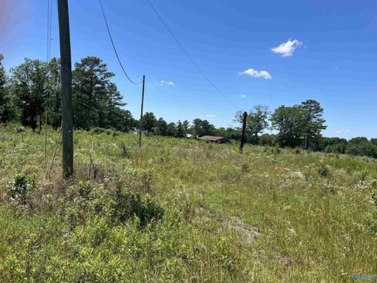 Picture of Residential Land For Sale in Boaz, Alabama, United States