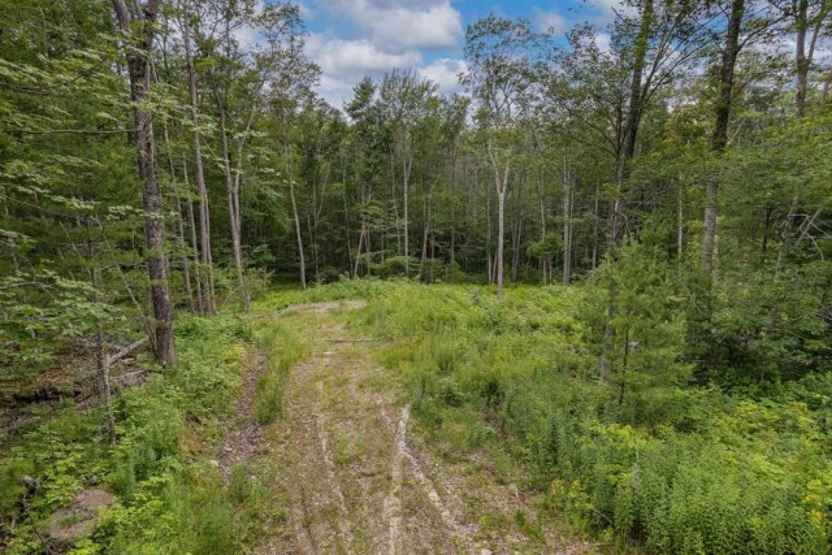 Picture of Residential Land For Sale in Phippsburg, Maine, United States