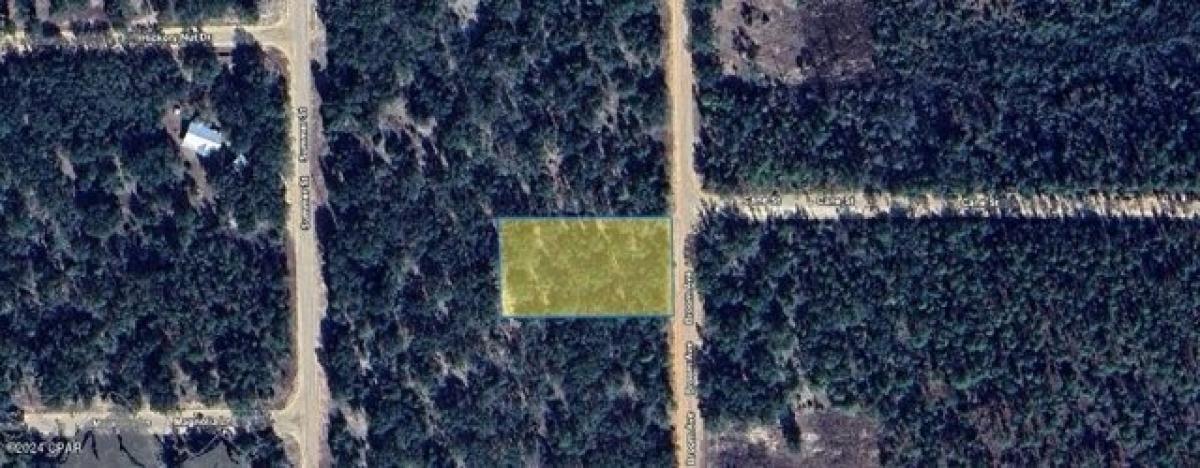 Picture of Residential Land For Sale in Marianna, Florida, United States