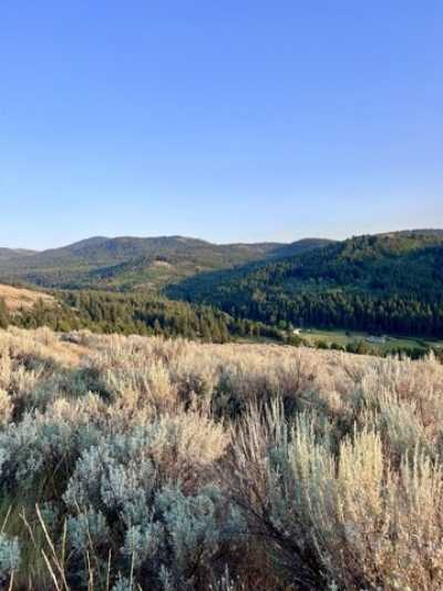 Residential Land For Sale in Republic, Washington