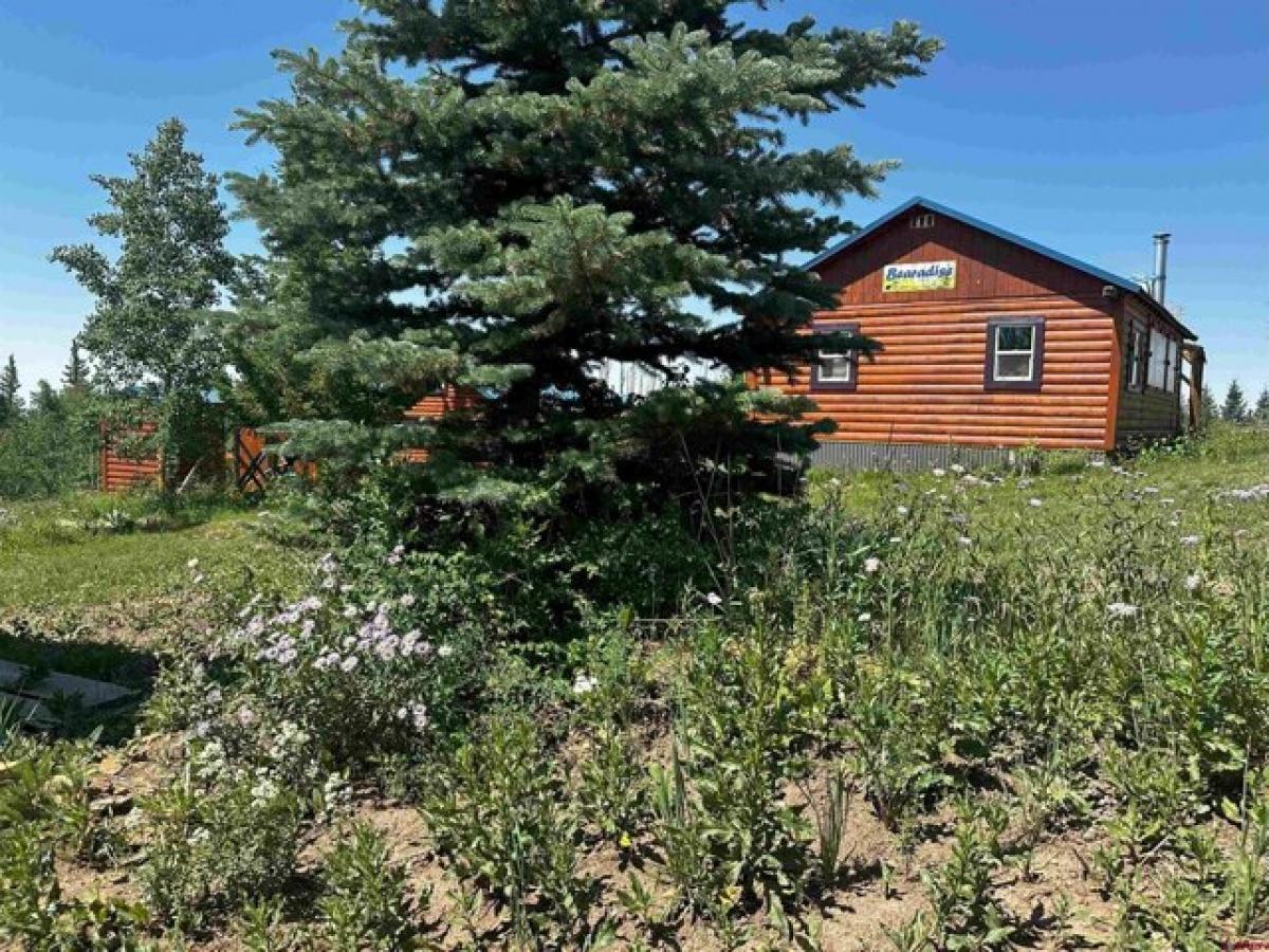 Picture of Home For Sale in Mancos, Colorado, United States