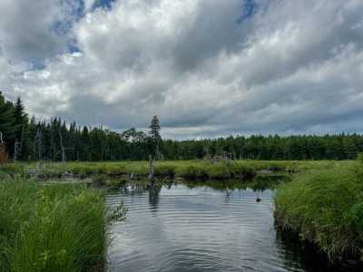 Residential Land For Sale in Robbinston, Maine