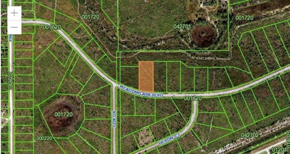 Picture of Residential Land For Sale in Lake Wales, Florida, United States