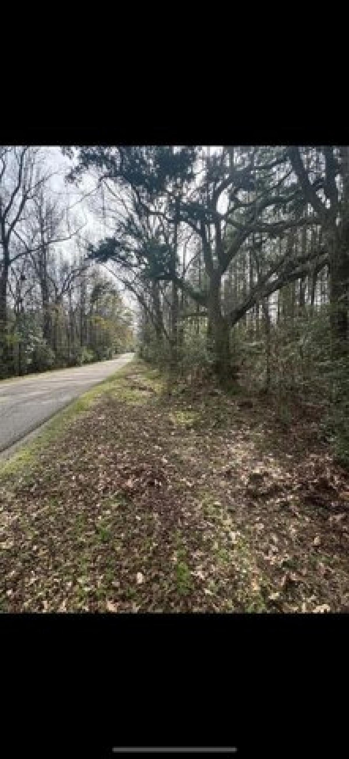 Picture of Residential Land For Sale in Saint Francisville, Louisiana, United States