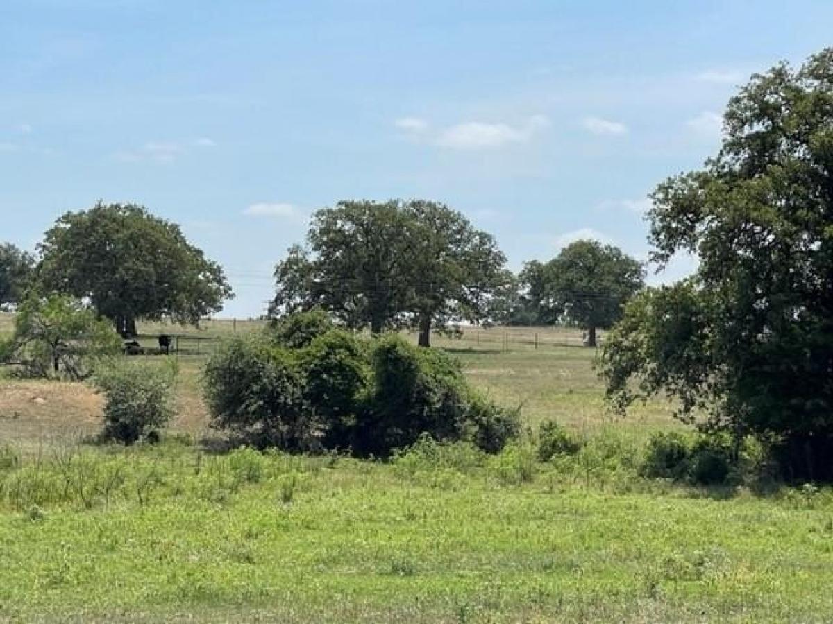 Picture of Residential Land For Sale in Giddings, Texas, United States