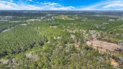 Residential Land For Sale in Townsend, Georgia