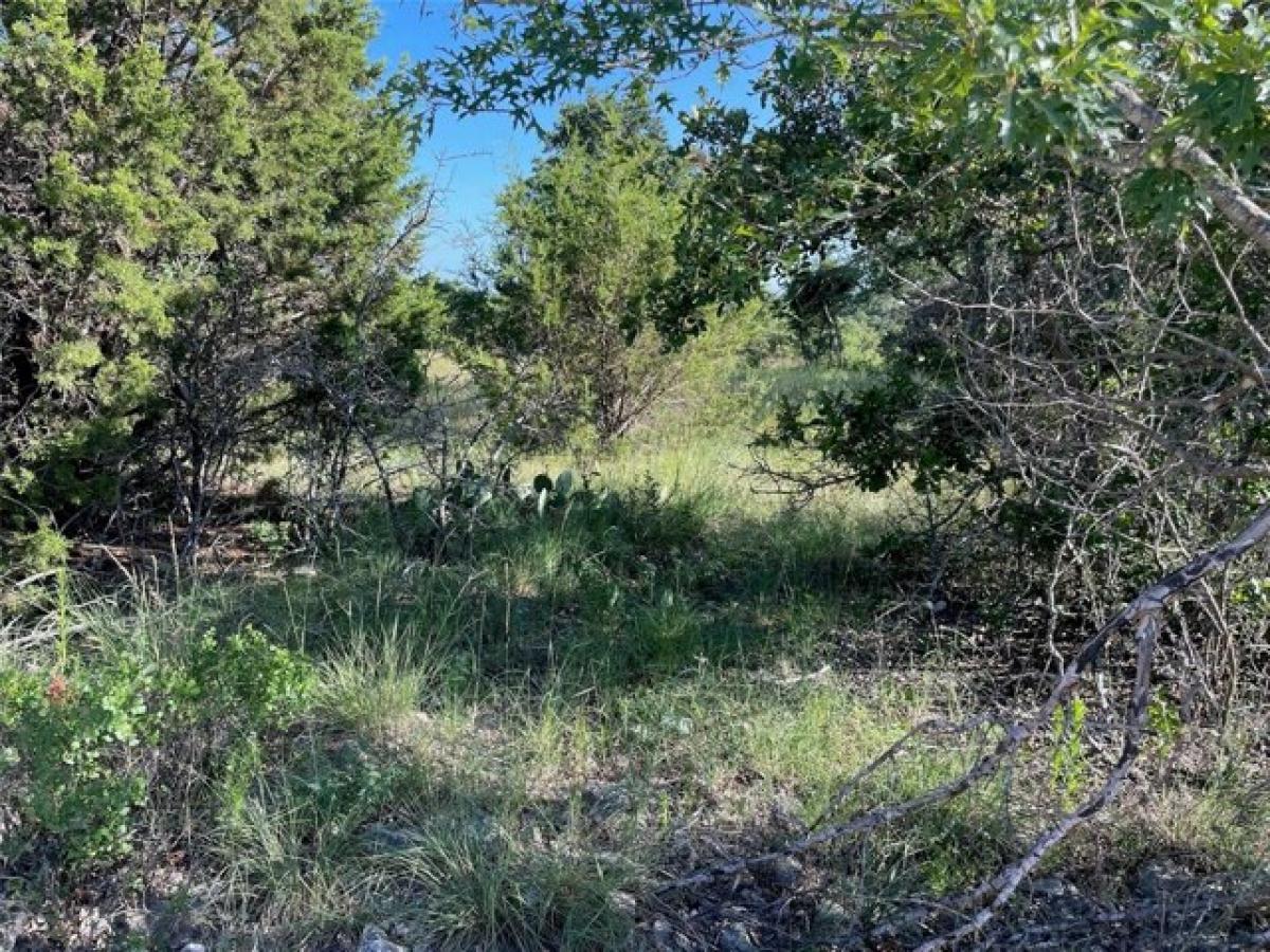 Picture of Residential Land For Sale in Ranger, Texas, United States