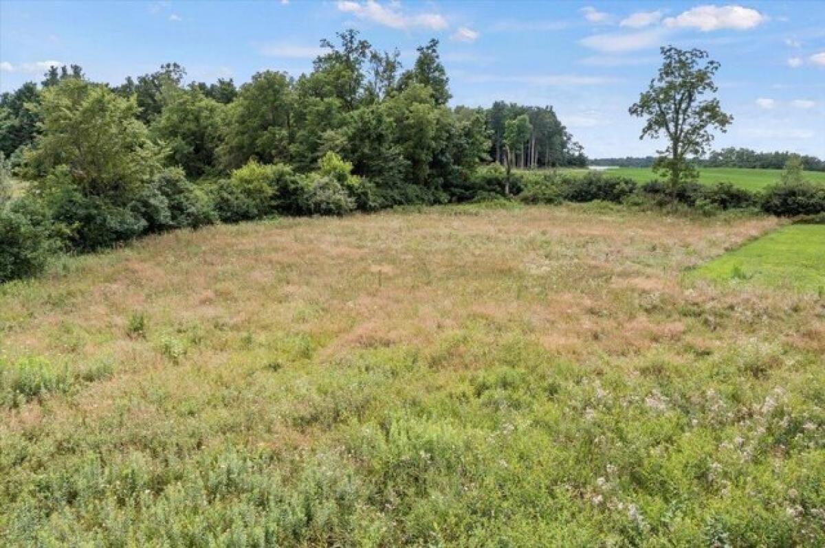 Picture of Residential Land For Sale in Cable, Ohio, United States