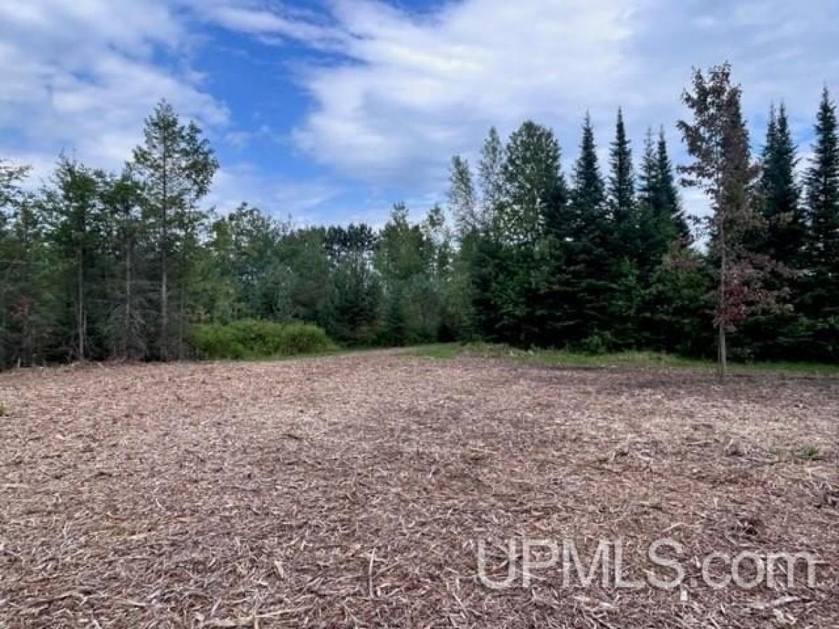 Picture of Residential Land For Sale in Chassell, Michigan, United States