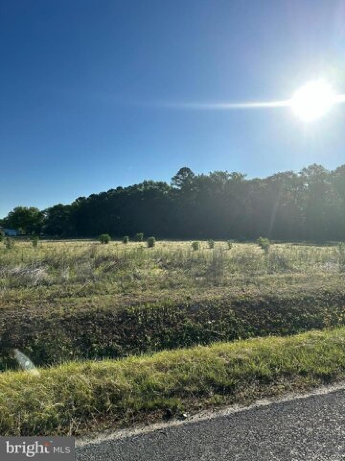 Picture of Residential Land For Sale in Selbyville, Delaware, United States