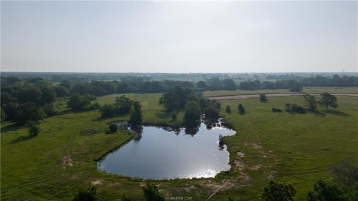 Picture of Residential Land For Sale in Iola, Texas, United States