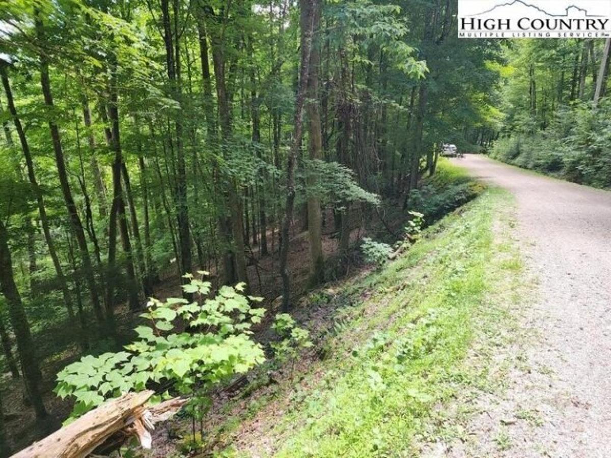 Picture of Residential Land For Sale in Beech Mountain, North Carolina, United States