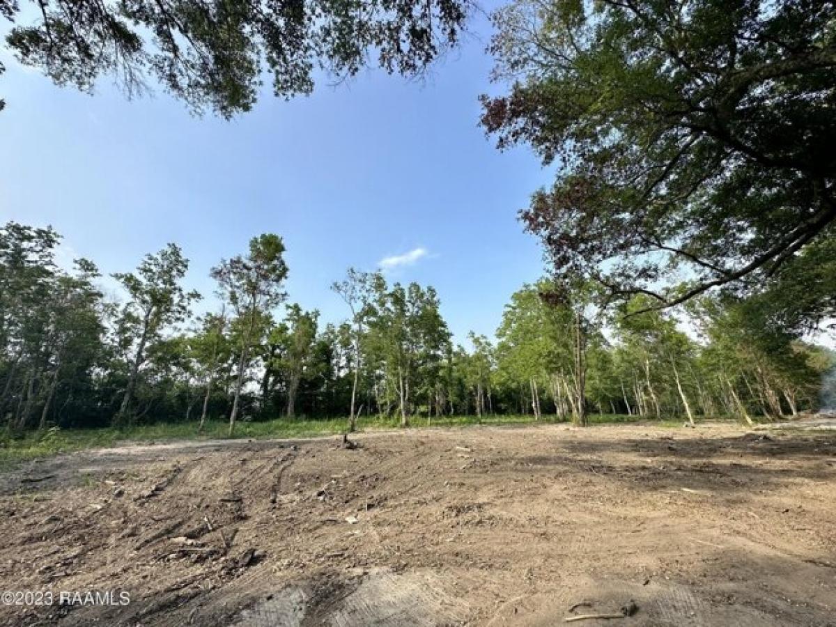 Picture of Residential Land For Sale in Sunset, Louisiana, United States