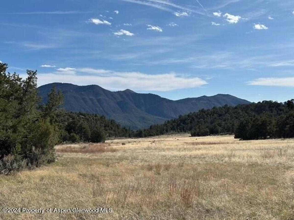 Picture of Residential Land For Sale in Rifle, Colorado, United States