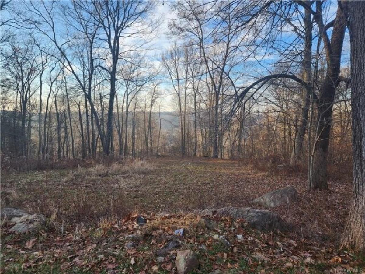 Picture of Residential Land For Sale in Wassaic, New York, United States