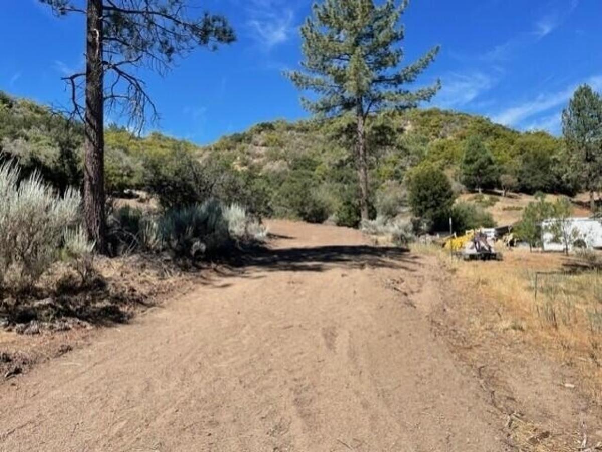 Picture of Residential Land For Sale in Mountain Center, California, United States