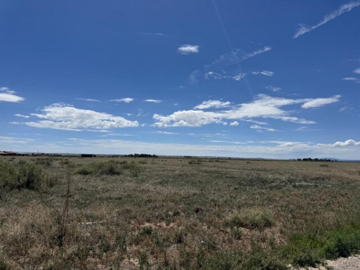 Picture of Residential Land For Sale in Estancia, New Mexico, United States