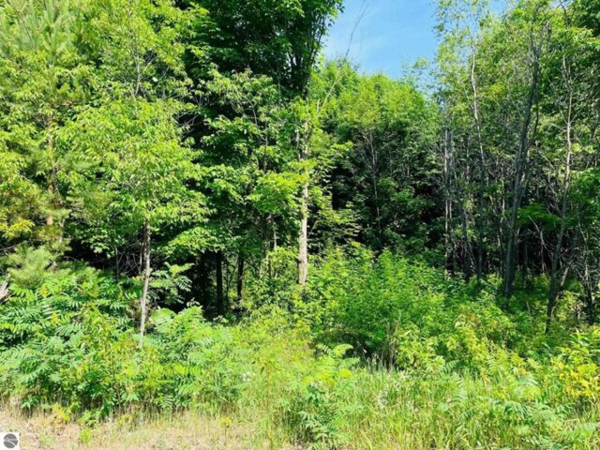 Picture of Residential Land For Sale in Mcbain, Michigan, United States