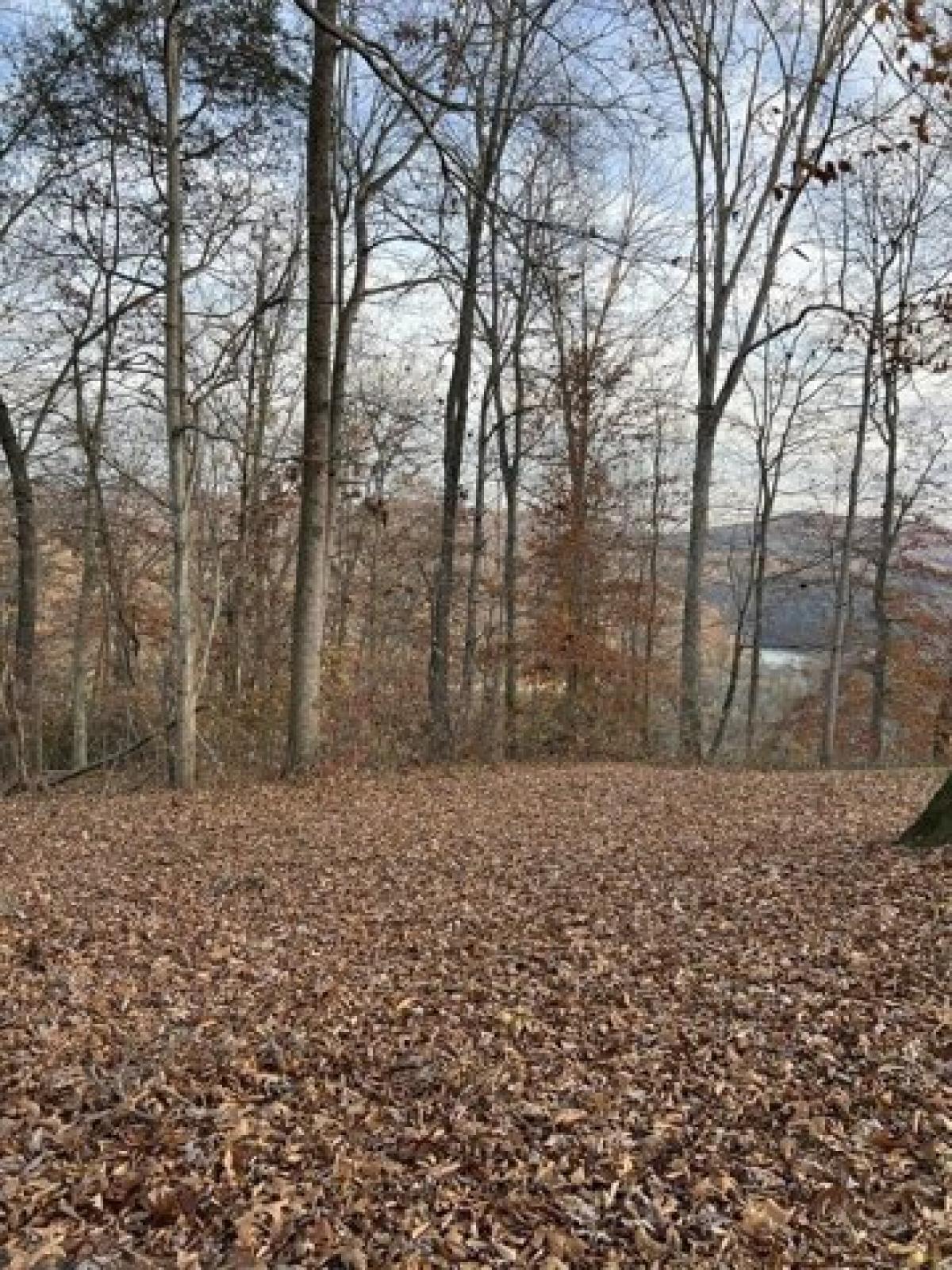 Picture of Residential Land For Sale in Byrdstown, Tennessee, United States