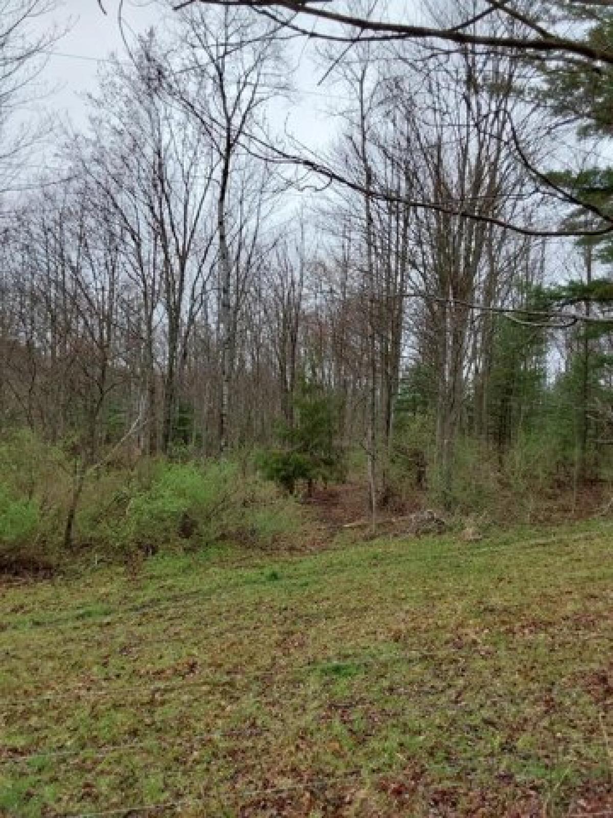 Picture of Residential Land For Sale in Campbell, New York, United States