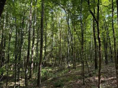 Residential Land For Sale in 